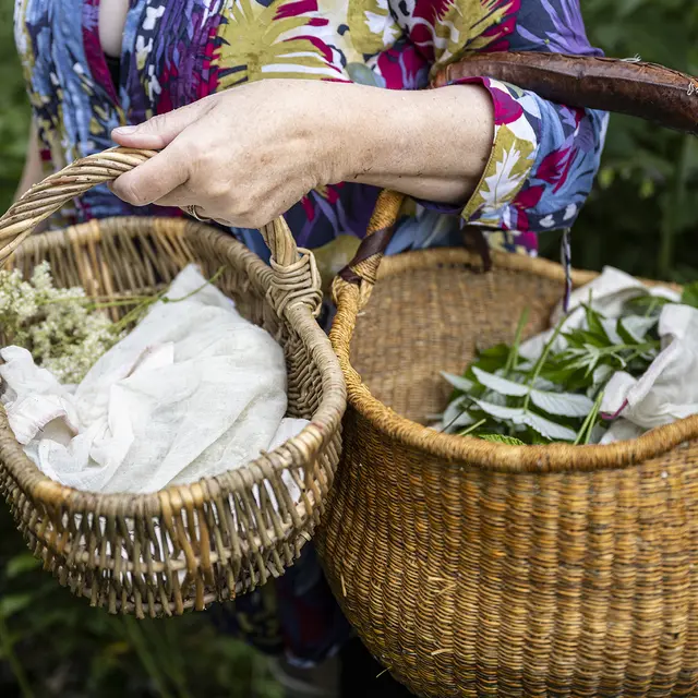 Fabrique ta tisane à La Boite à Mélisse_Faverges-Seythenex