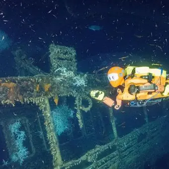 20 milieux sous les mers_Nice