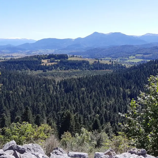 La forêt de Bélesta