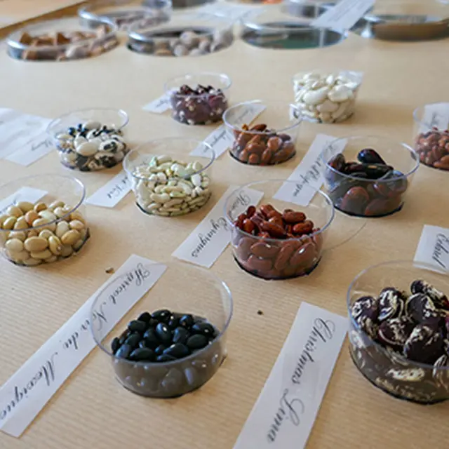 Les graines sont à l’honneur