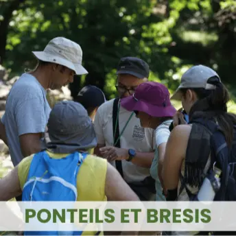 Sortie à la découverte des insectes pollinisateurs_Concoules