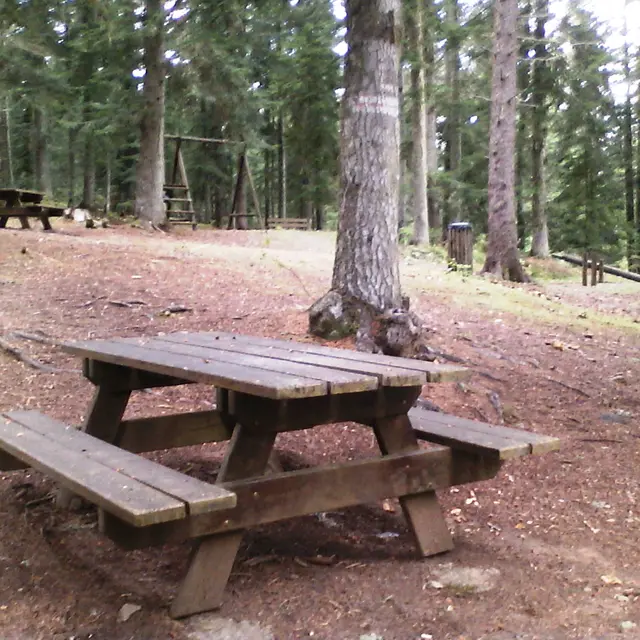 Table de pique nique