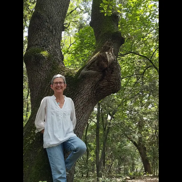 Sortie Shinrin Yoku ou Bain de Forêt