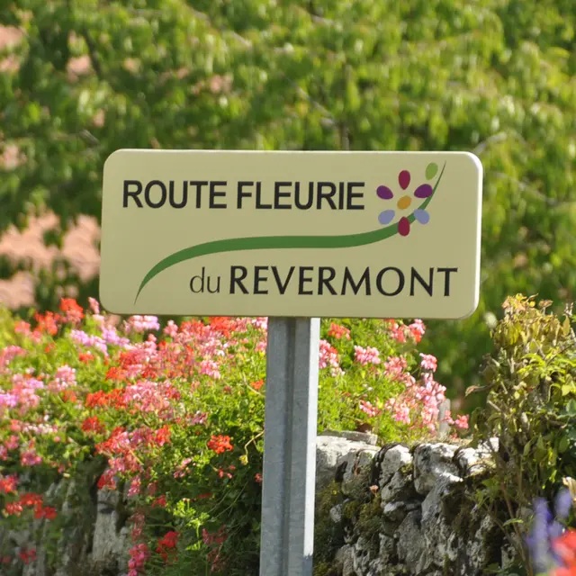 Route fleurie du Revermont