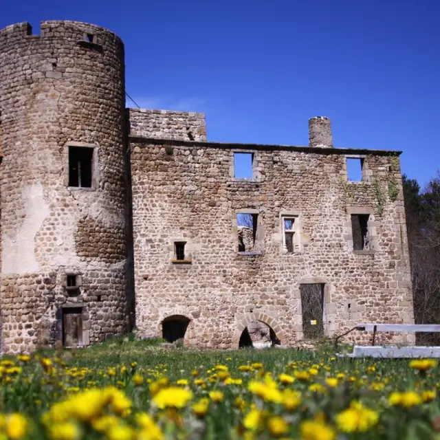Chateau du Rousset