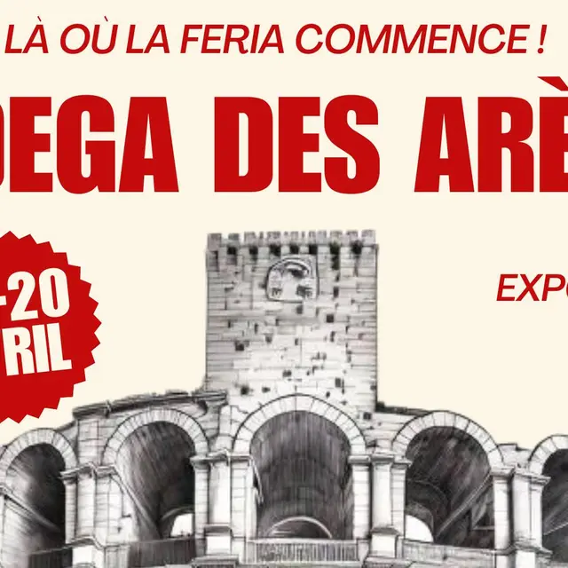 La Bodega des Arènes_Arles
