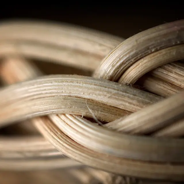 L'Oseraie du Possible