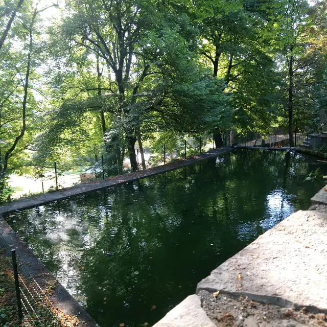 Bassin du Parc des Cordeleirs