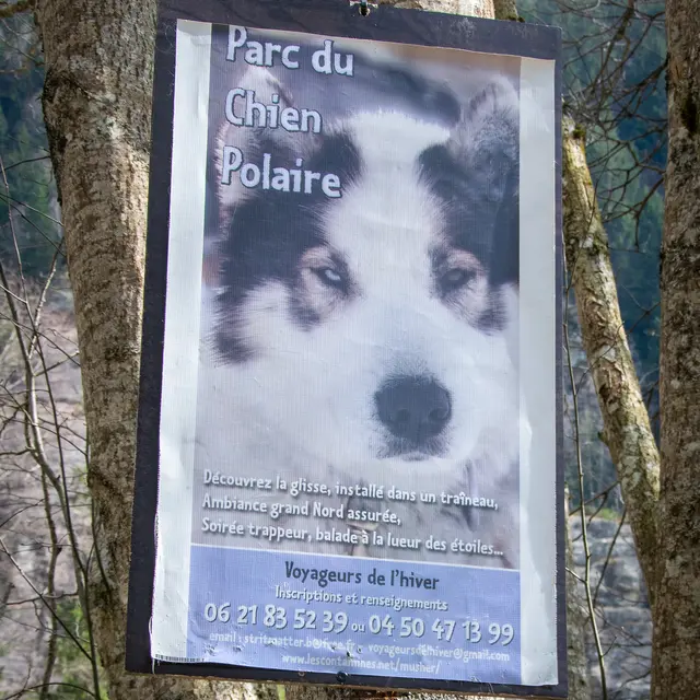 Visite du parc du chien polaire