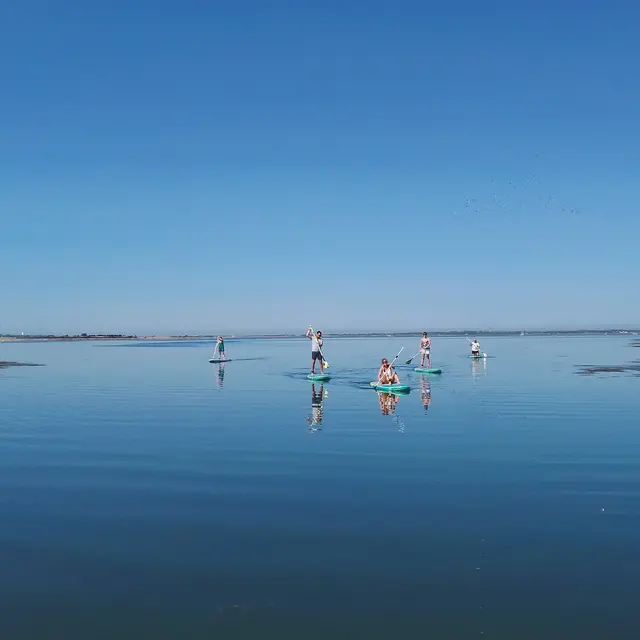 Randonnée en stand-up paddle dans le Fier d'Ars