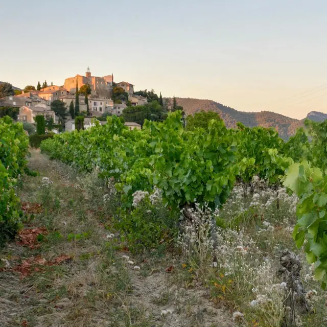 Explo Patrimoine - Rendez-vous du Parc 2026_Faucon