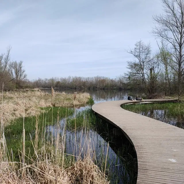 Aire de pique-nique Gravière aux oiseaux_Mably
