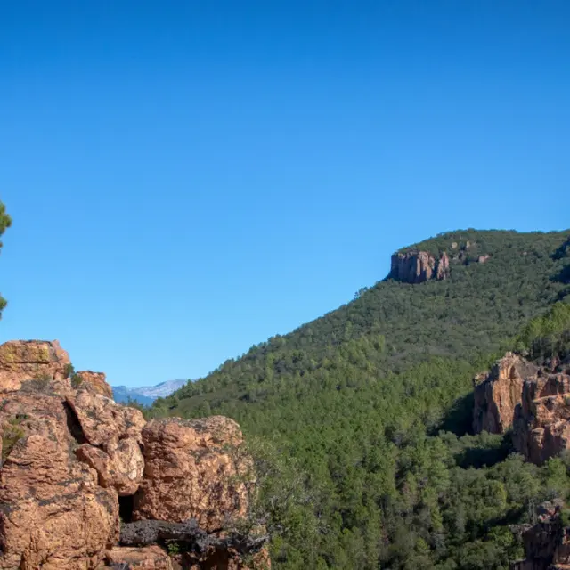 vue depuis la table d'orientation de Bagnols-en-Forêt_Bagnols-en-Forêt
