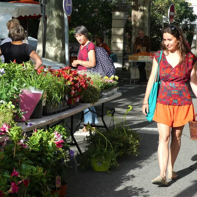 Marché provençal de Laragne