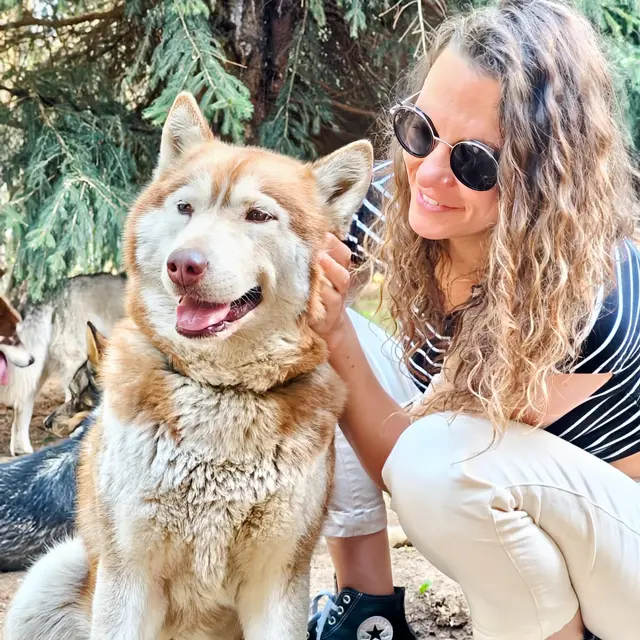 Parc nordique du col de Manse - Travel Dog_Saint-Laurent-du-Cros