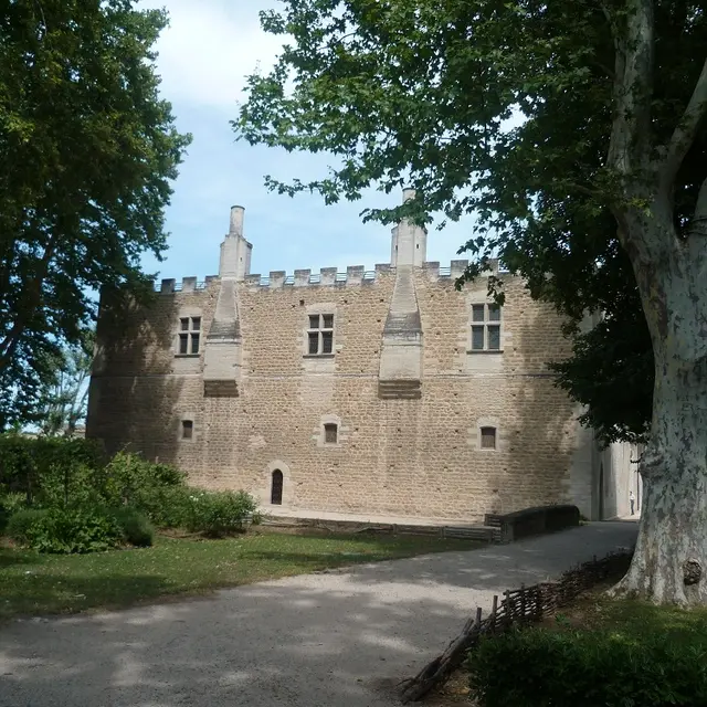 Conférence La noblesse des grands domaines pontétiens_Le Pontet