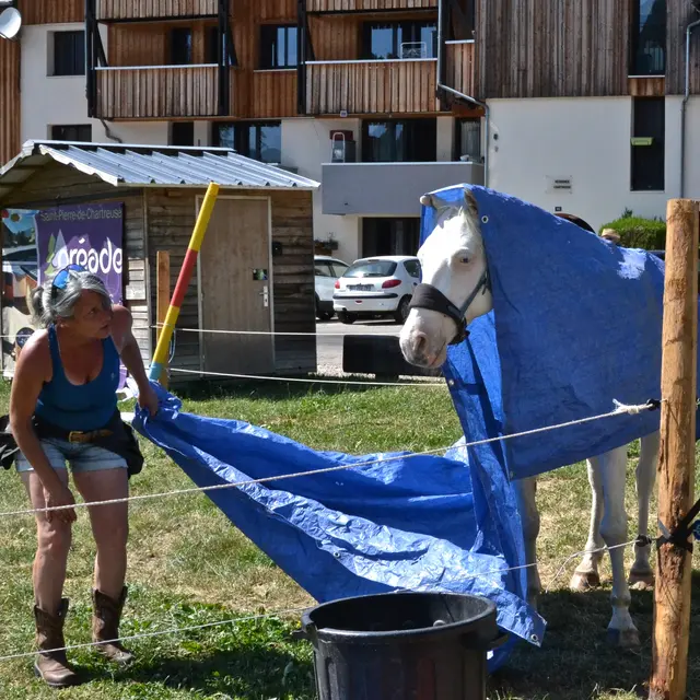 Charlotte et les Chérubins