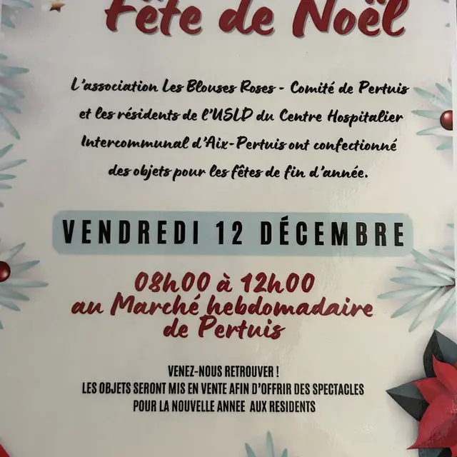 Les fêtes de noël avec les Blouses Roses_Pertuis