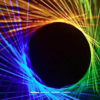 De l’ombre à la lumière_Avignon