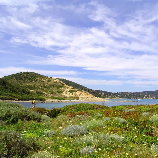 Randonnée “Sur les pas des douaniers du Cap Taillat”_Ramatuelle
