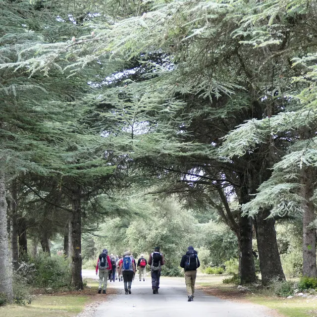 Rando - les incontournables du Luberon