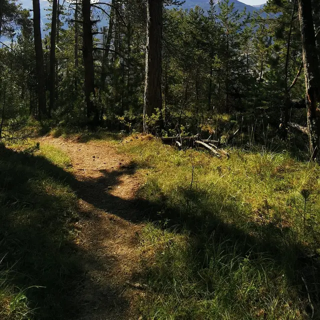 Inventerre, festival de la biodiversité : Une mosaïque de paysages en changement_Auzet