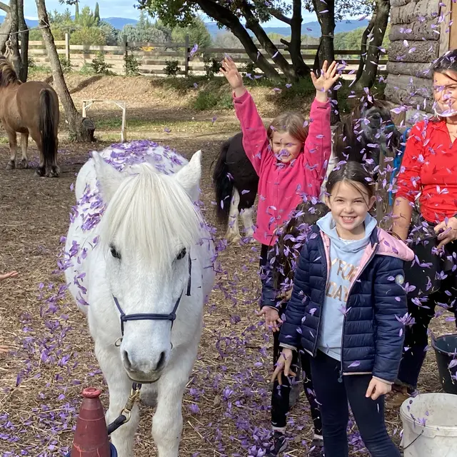 Lucky Horse - Isofaculte