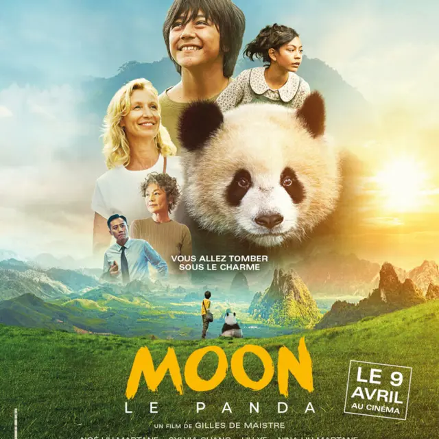 Cinéma 