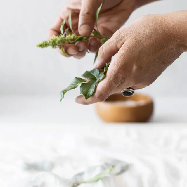 Randonnée Plantes Comestibles - Carole Gauthier_Taninges