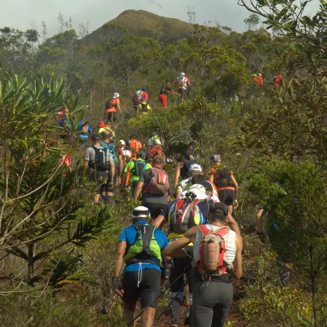 Trail des cagous_Boulouparis
