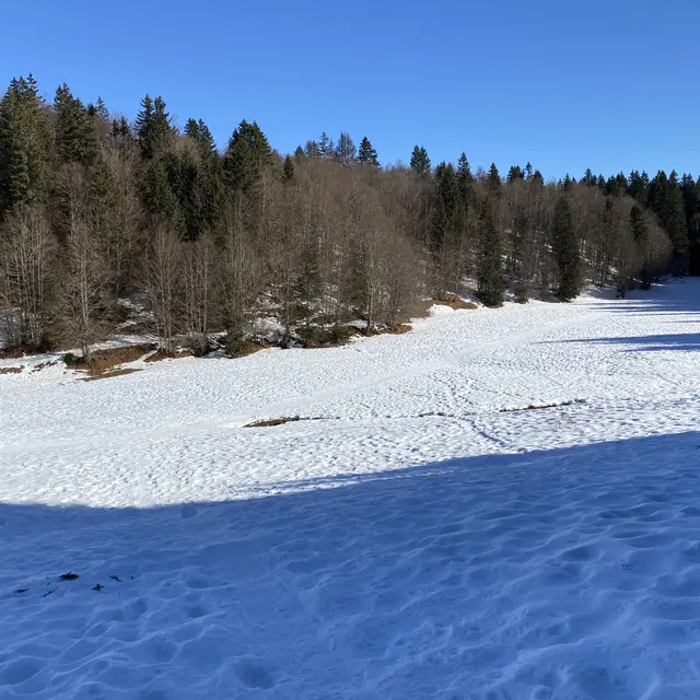 Itinéraire raquettes à neige : la petite traversée_Le Revard