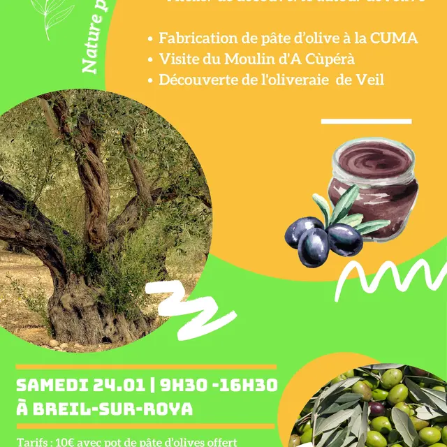 Atelier découverte curieux de nature : A vos bocaux !_Breil-sur-Roya