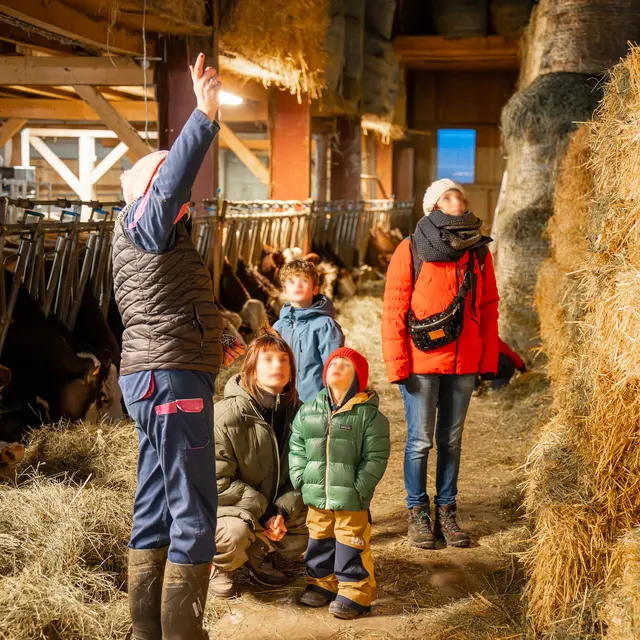 Visite guidée d'une ferme de montagne_Les Contamines-Montjoie