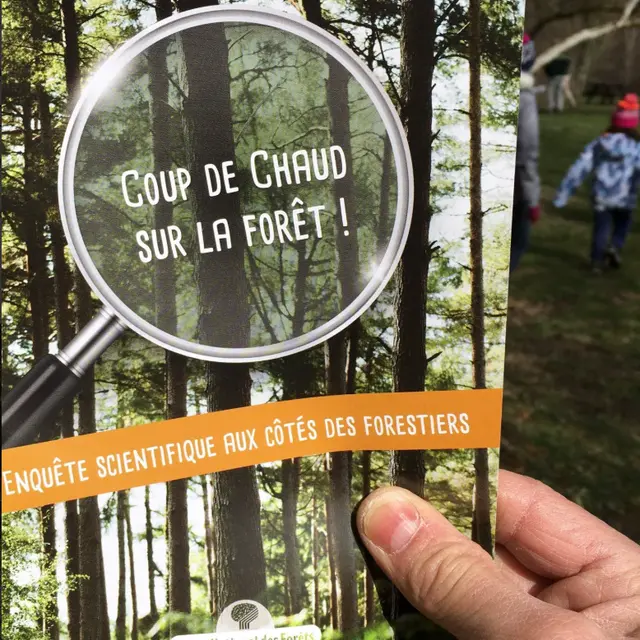 Jeu de piste « Coup de chaud sur la forêt ! »_Sallèdes