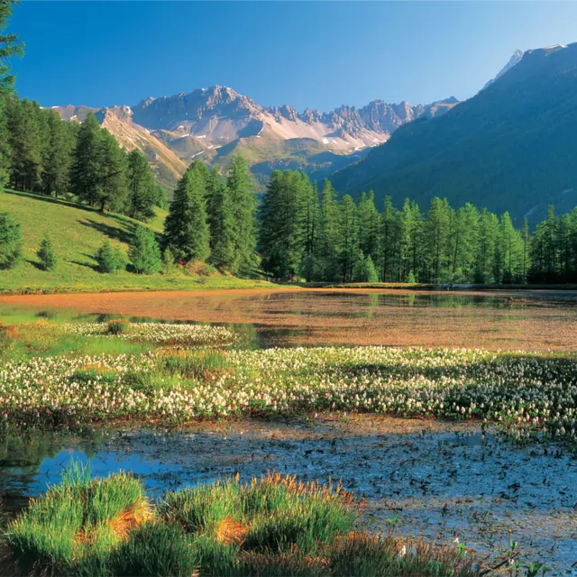 Lac de Roue - randonnée pédestre -Château-Ville-Vieille -Queyras