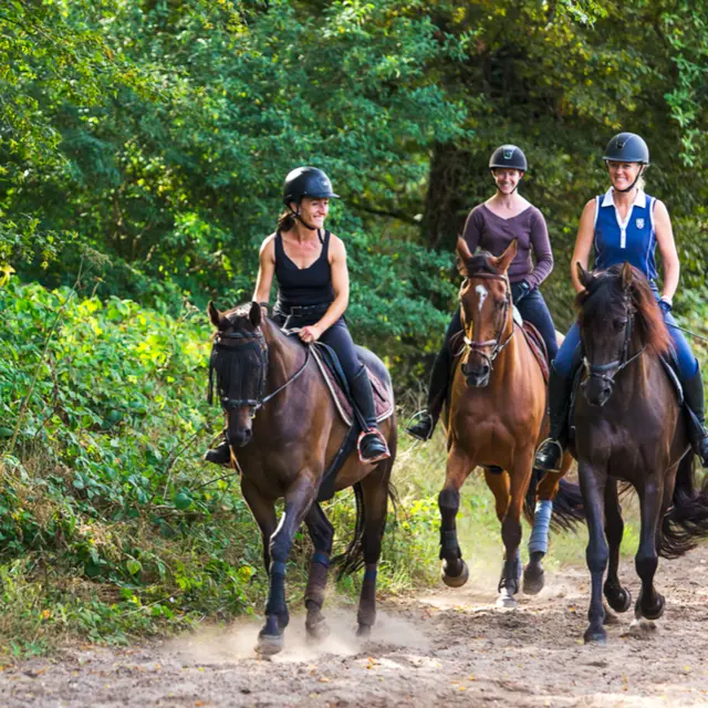 Horse Holidays Maisons Laffitte