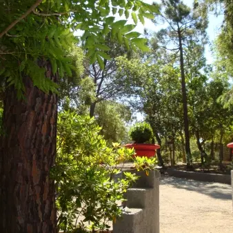 Les Mayombes