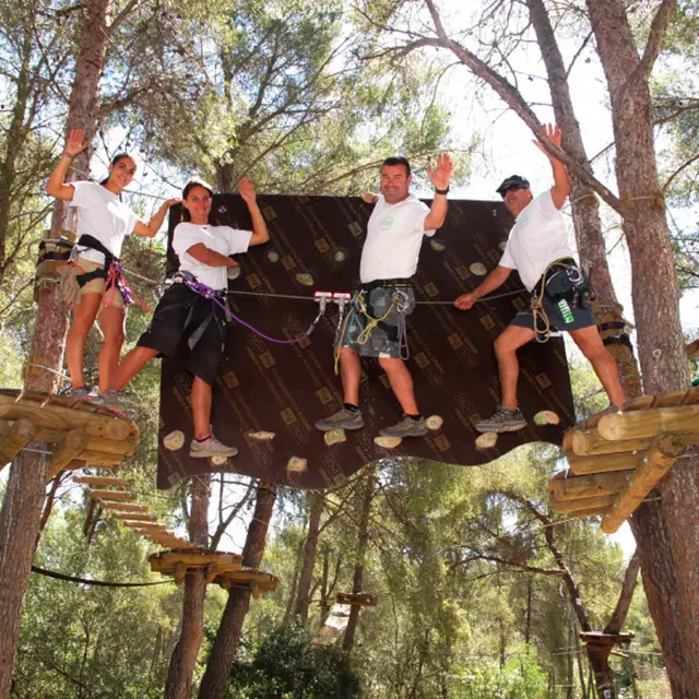 Parcours accrobranches : Cassis Forest_Cassis