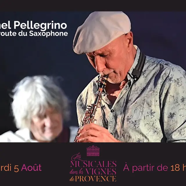 Les Musicales dans les Vignes au Domaine de l'Anglade_Le Lavandou