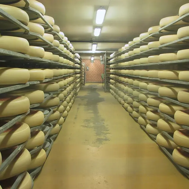 Fromagerie de Brenod