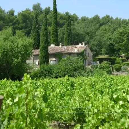Domaine Bois des Demoiselles