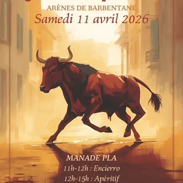 Journée Taurine_Barbentane