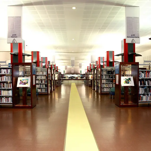 BIBLIOTHÈQUE LOUIS NUCERA .jpg
