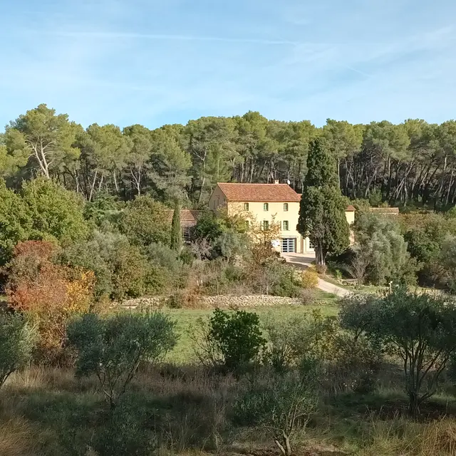 Balade guidée - Les mystères de la forêt_Le Beausset