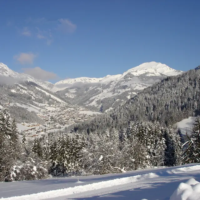 vue sur le mont lachat