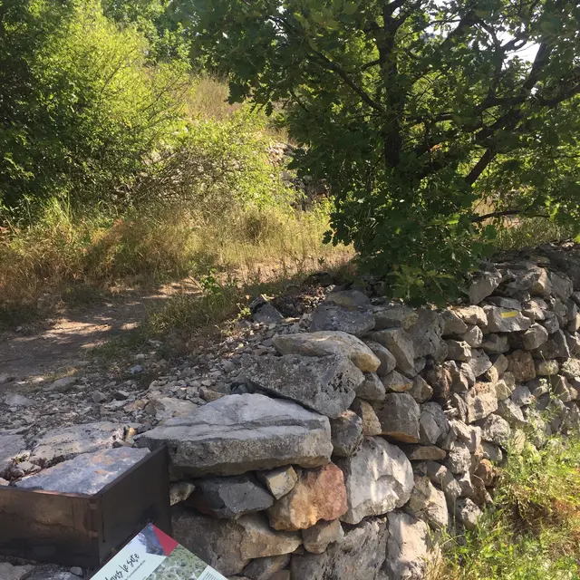 Circulation dans le site