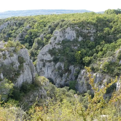 Gorges d'Oppedette