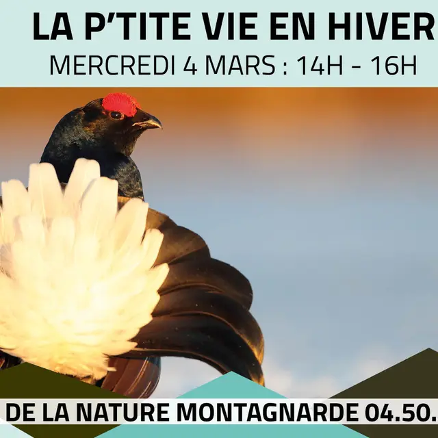 Les P'tits Experts de la Nature - La P'tite vie en hiver_Sallanches
