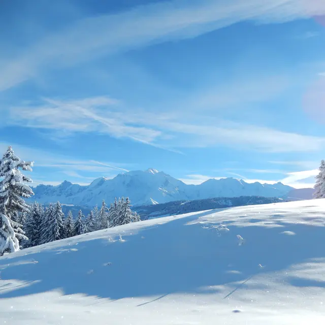 Vue sur la chaîne du Mont-Blanc