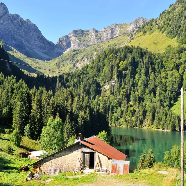 Randonnée du lac des Plagnes au lac de Tavaneuse - Abondance